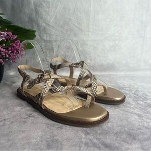 COLE Haan Women's Wilma Strappy Sandal Flat Ivory & Gold Size 8.5B